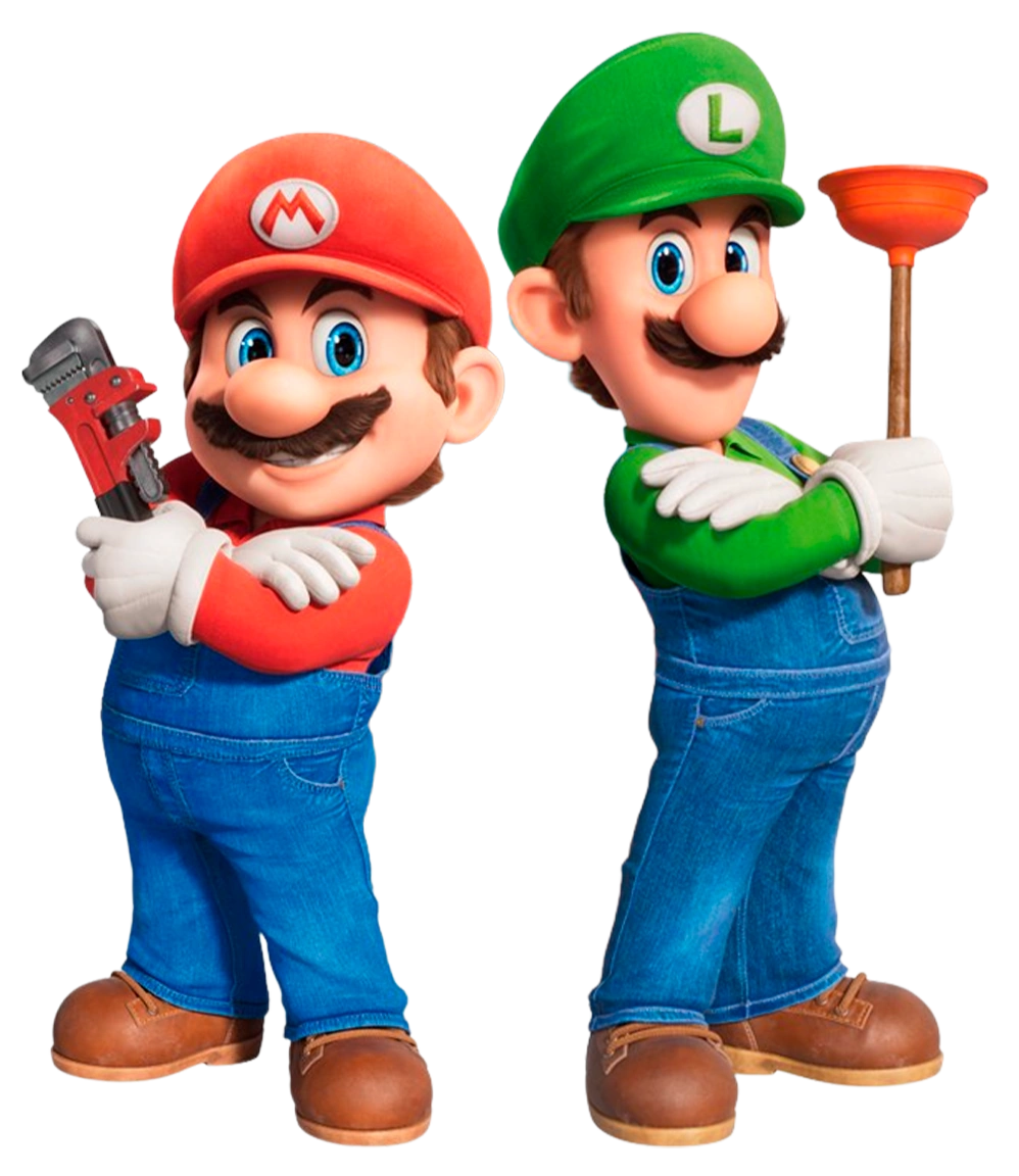 image-mario-luidi